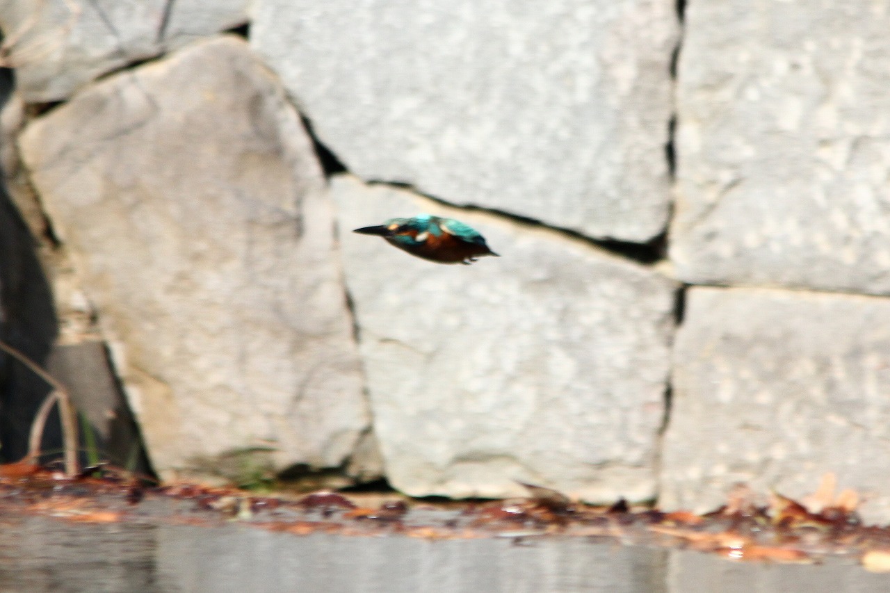 c0047115_2041410.jpg