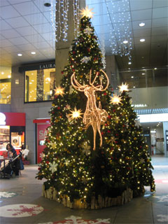 f0106823_2134746.jpg