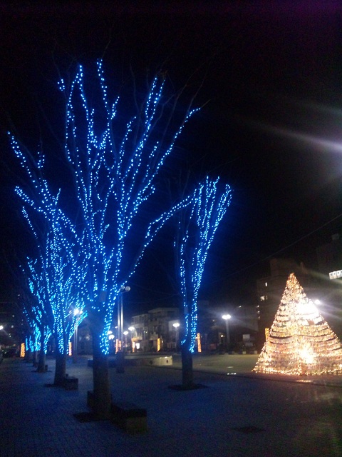 b0199924_1518879.jpg