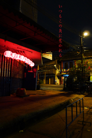 d0042827_3591513.jpg