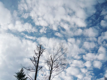 f0086827_2344066.jpg