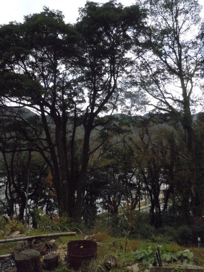 b0157528_17344383.jpg