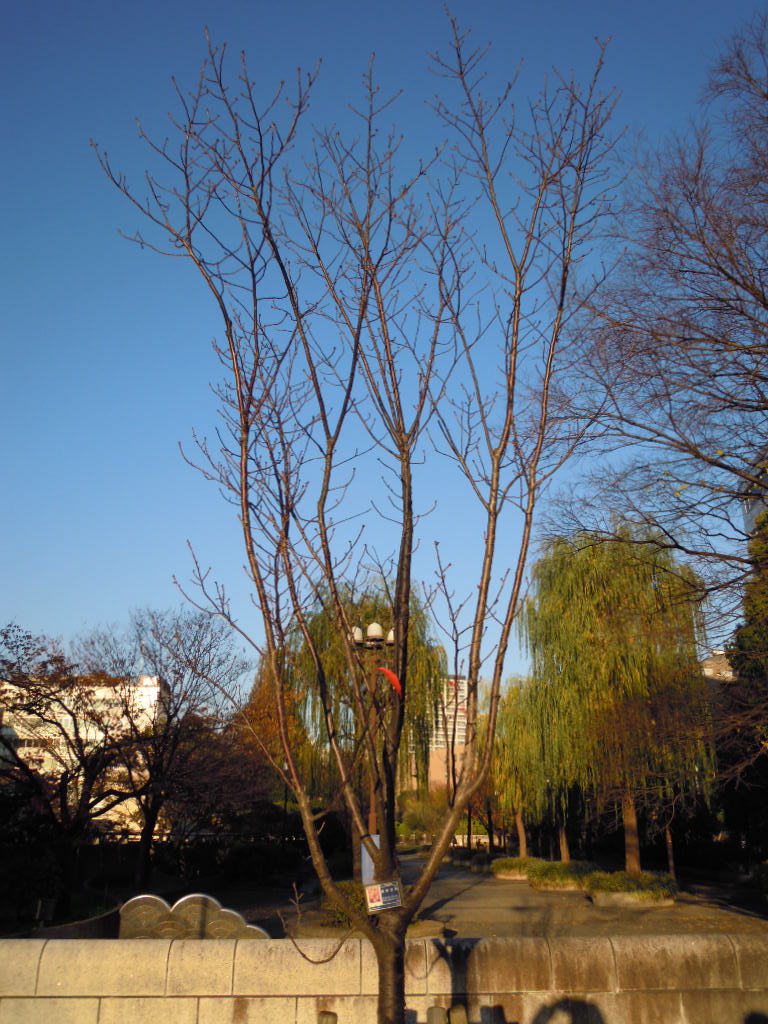 e0081334_16524490.jpg