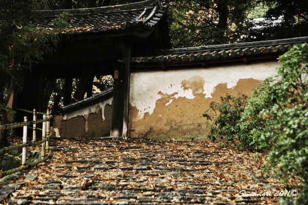 a0212036_2217489.jpg