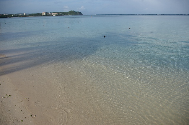 e0107641_11154269.jpg