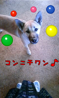 e0225144_15202324.png