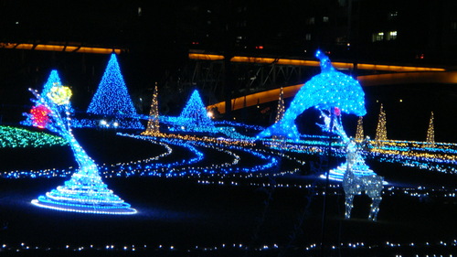 a0212656_15415844.jpg