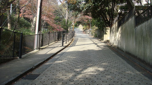 a0212656_8372815.jpg