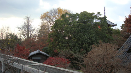 a0212656_9103937.jpg