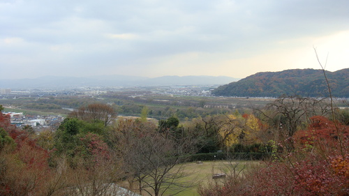 a0212656_991449.jpg