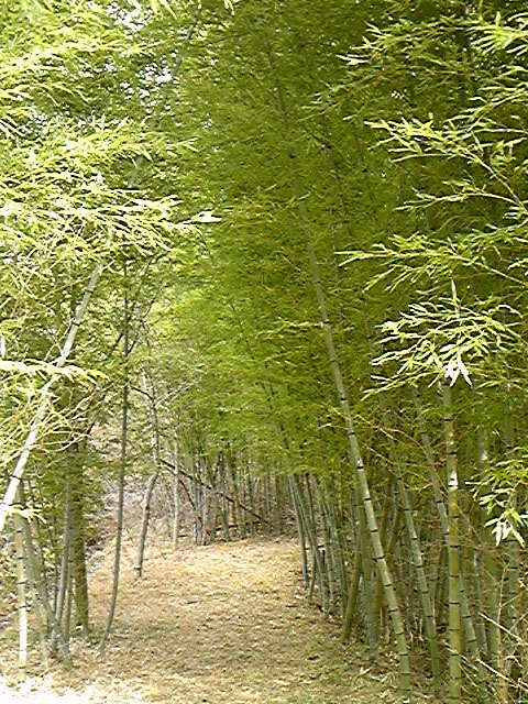 e0118274_2305985.jpg