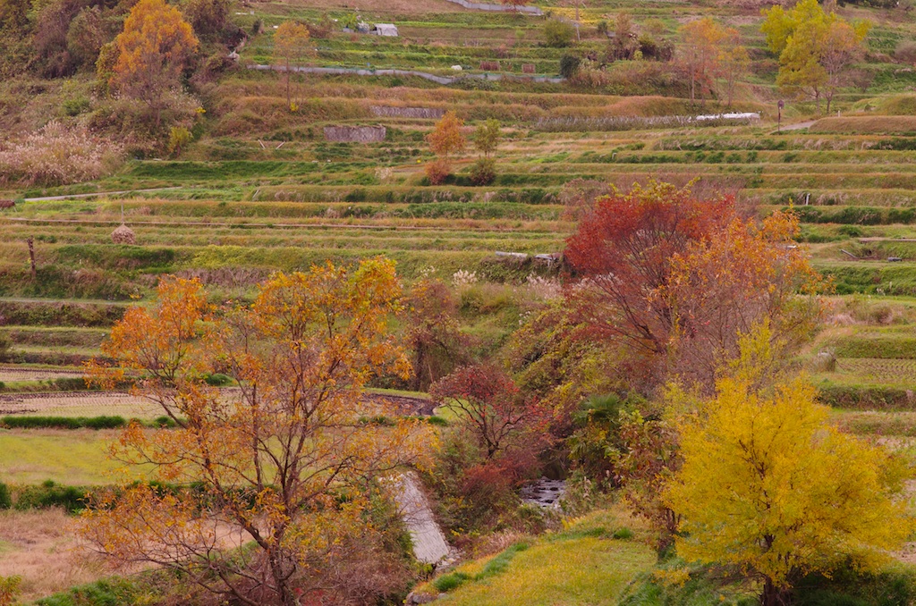 a0142976_17212447.jpg