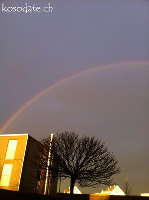 e0012482_66158.jpg