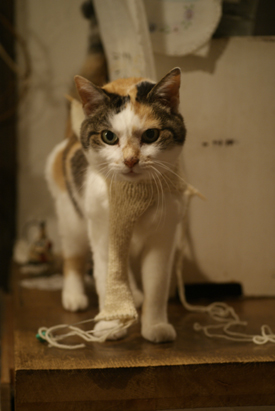 f0166982_2341208.jpg