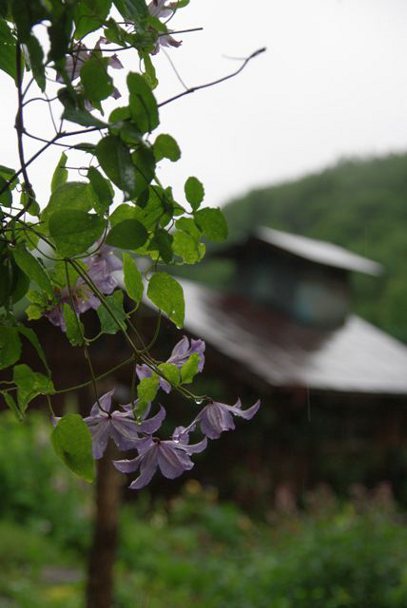 a0189883_2215978.jpg