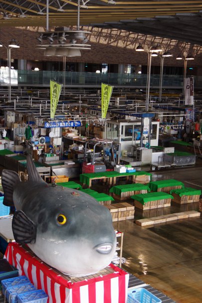a0189883_673356.jpg