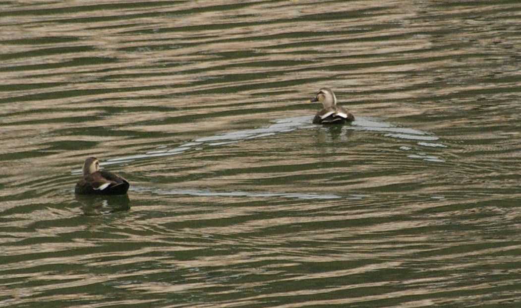 e0197884_14271210.jpg