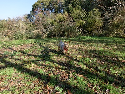 e0123587_11402370.jpg