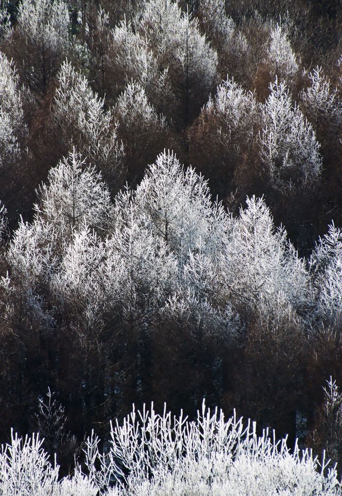 f0220698_20552385.jpg
