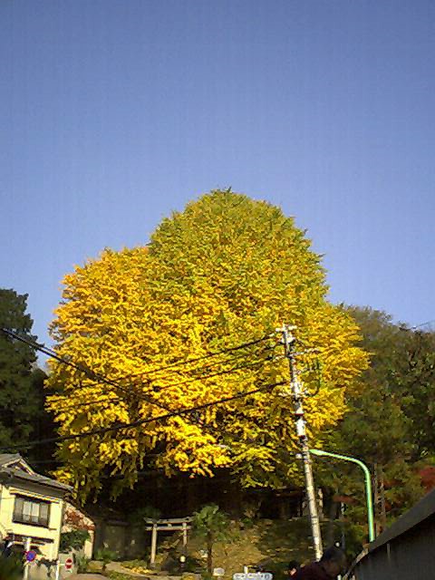 f0129610_0293674.jpg