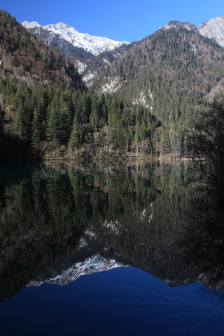 d0077811_114510.jpg