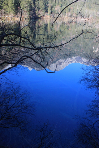 d0077811_19102522.jpg