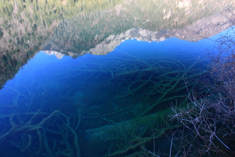 d0077811_19364982.jpg