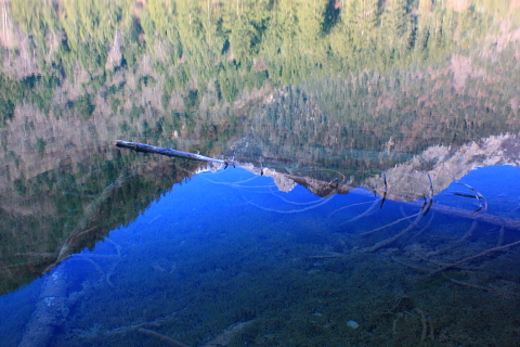 d0077811_19454847.jpg