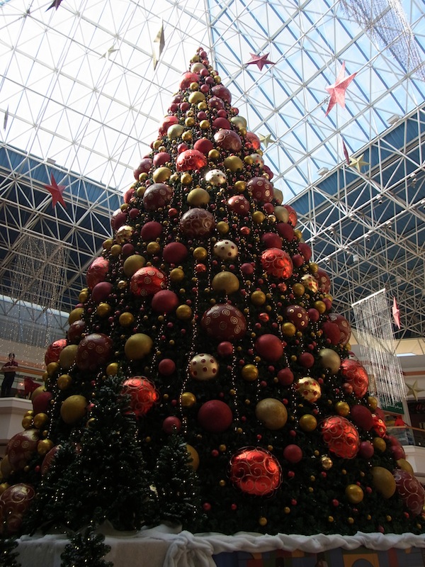 f0230012_54035100.jpg