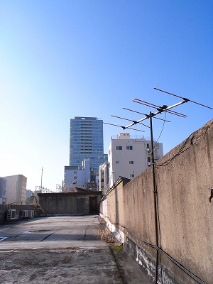 b0167617_12415563.jpg