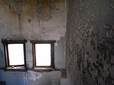 b0167617_13561262.jpg