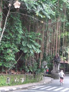 c0025422_1651117.jpg