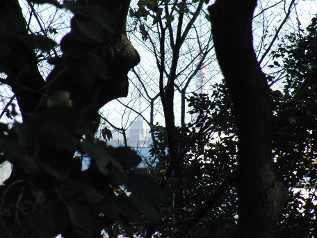 e0203322_20545981.jpg