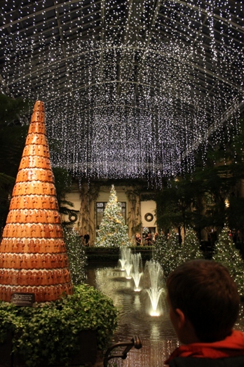 f0151222_13391115.jpg
