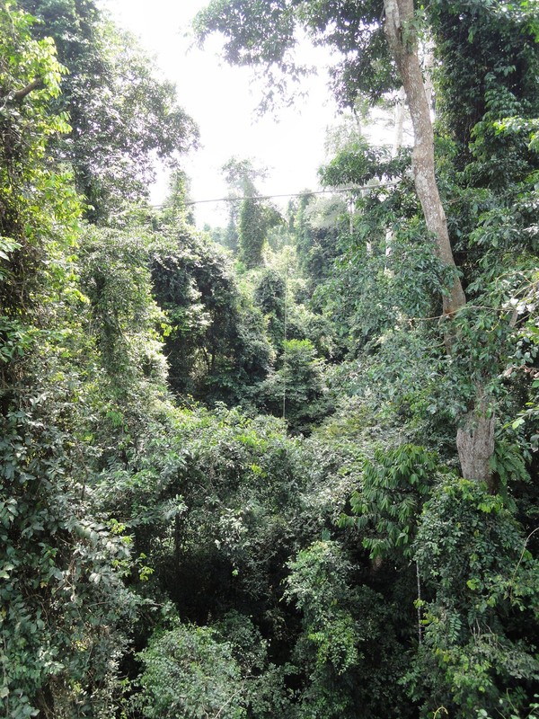 b0207724_22514050.jpg