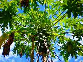 b0239629_171287.jpg