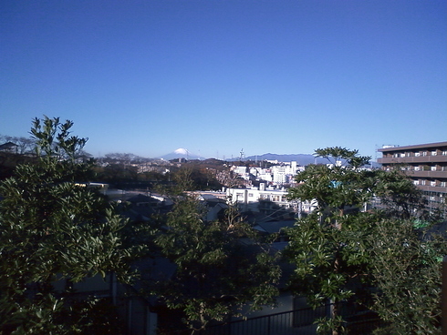 a0155430_955318.jpg