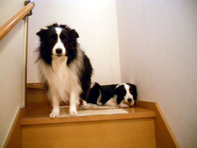 d0059230_8222940.jpg