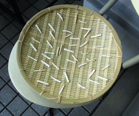 d0048332_1594562.gif