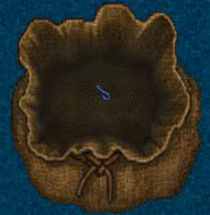 c0184233_2024897.jpg
