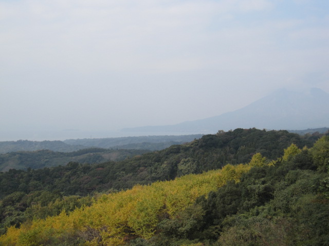 d0088735_17375975.jpg
