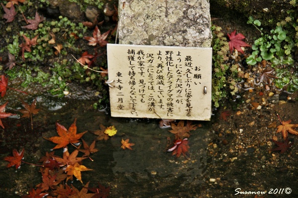 a0212036_1814169.jpg