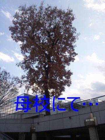 c0101739_147020.jpg