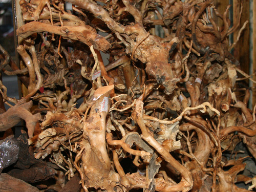 f0224952_1729589.jpg