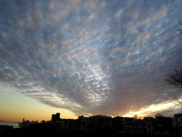 b0173754_1141069.jpg