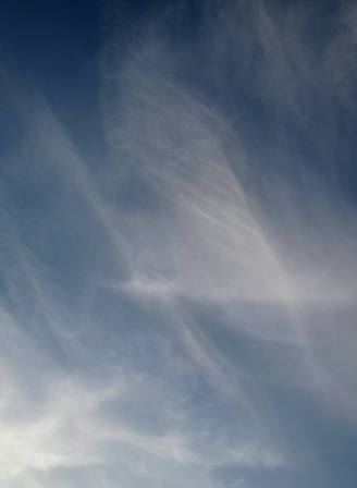 b0173754_1191378.jpg