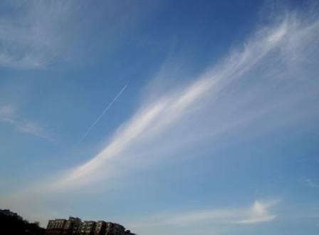 b0173754_1195549.jpg
