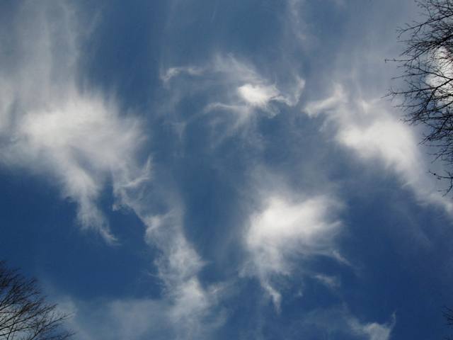 b0173754_1314096.jpg