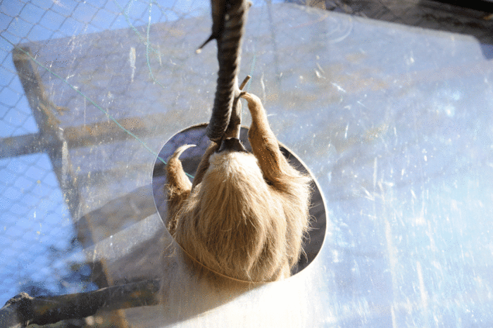 b0023856_16501242.gif