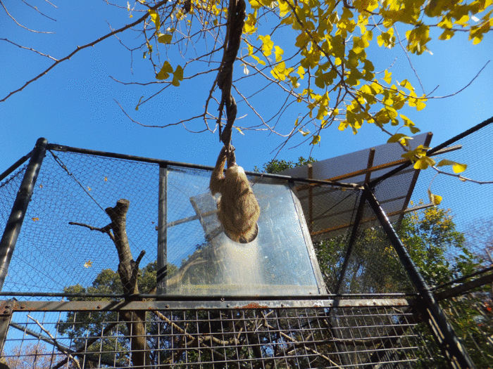 b0023856_16503752.gif